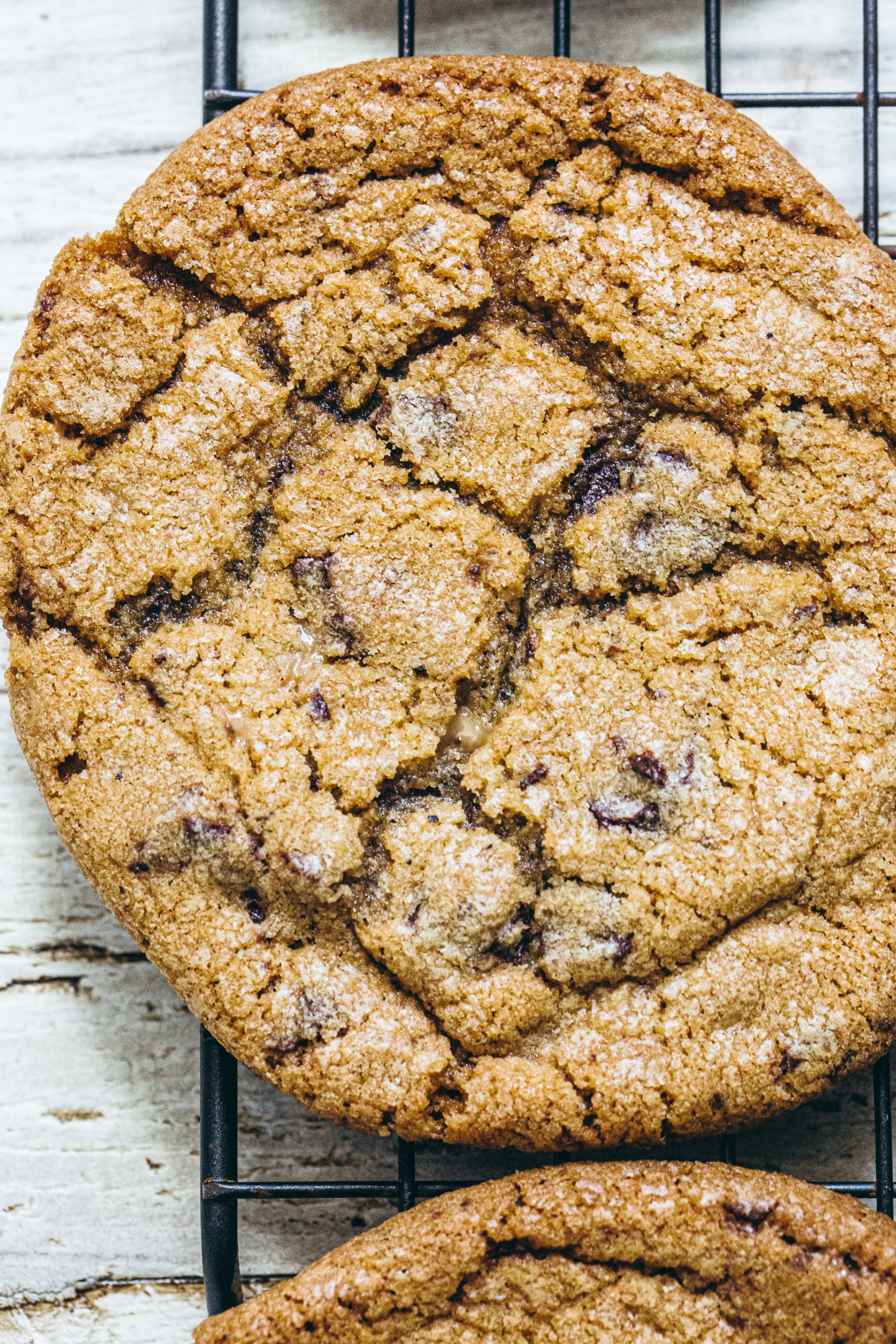 Bacon Fat Chocolate Chip Cookies