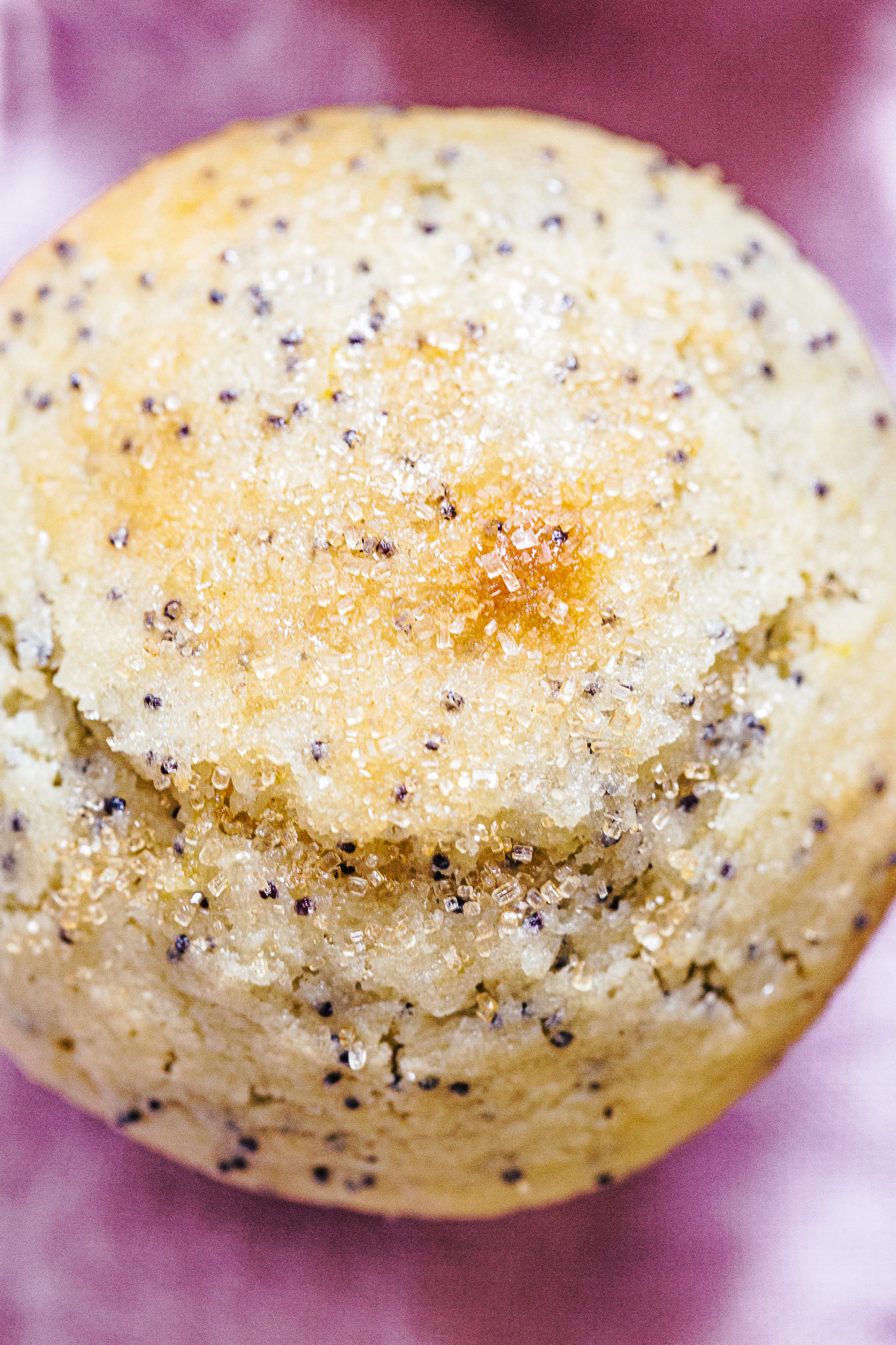 Bakery Style Lemon Poppy Seed Muffins (with Crunchy Sugar) - My Kitchen ...