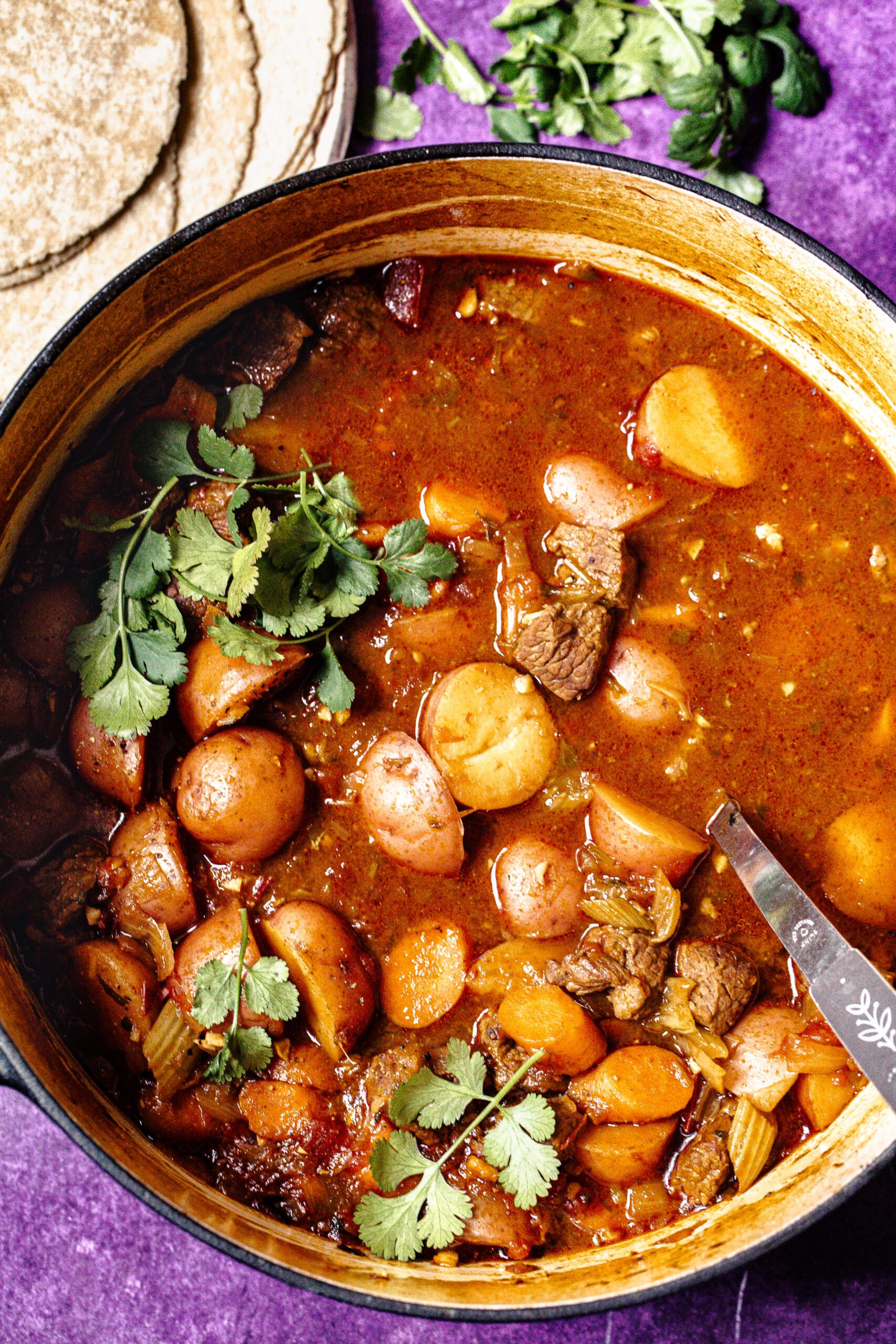 The Carne Guisada Vegetable Beef Stew That Saved Our Dinner Routine